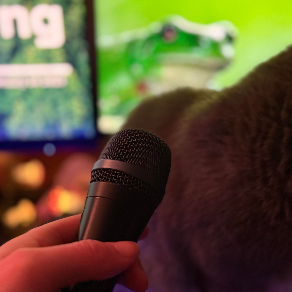 Top Tips for Recording with Dynamic Microphones