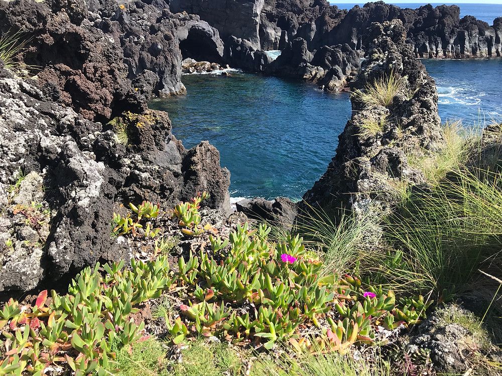 Dr. Filomena Trindade Retreat