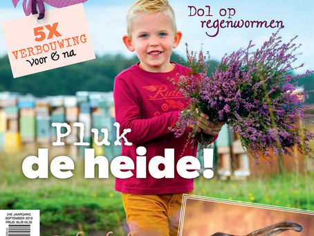 Decohof in de Landleven