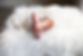 irina-murza-WCF44_NFUyA-unsplash-web.jpg