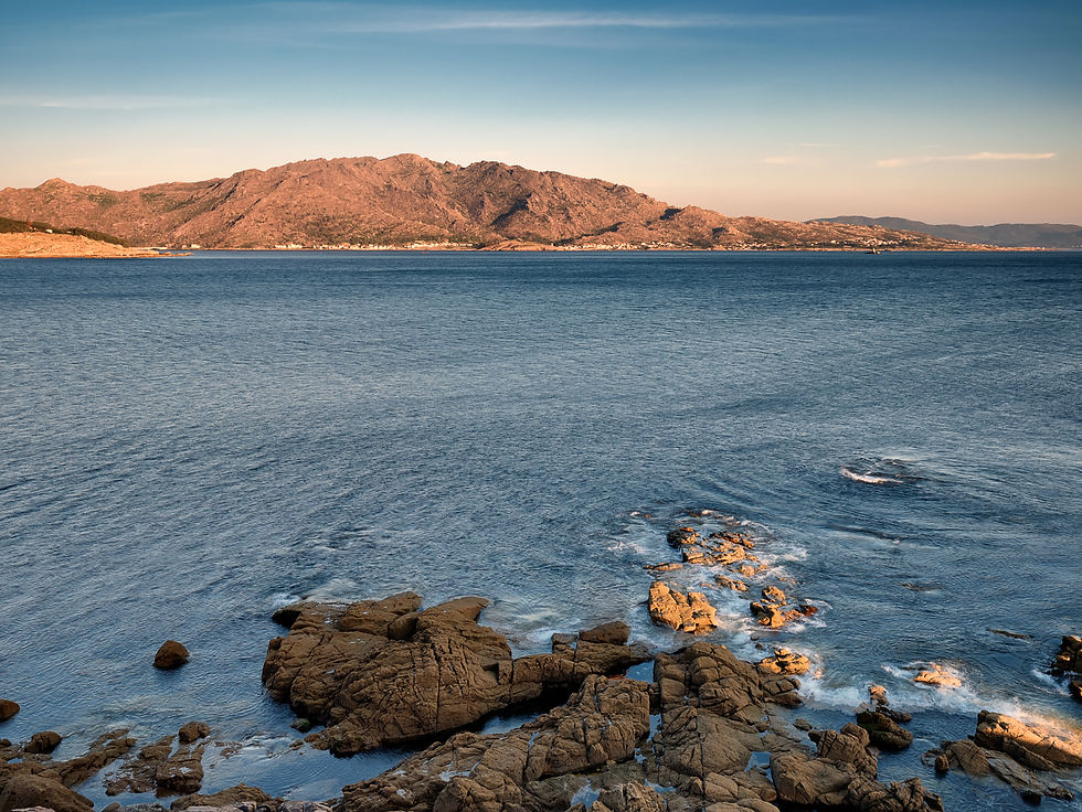 Initiation: Leber-Gallenreinigung & Regenerative Therapien