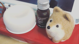 7/31 Diary | Ayu Inui