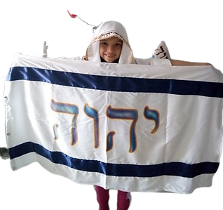 6 BANDERA.png