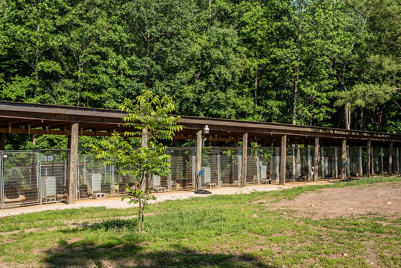 POD Kennel 1.jpg