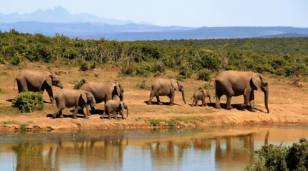 Game reserves and farms