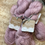 Thumbnail: Organic Aran Merino