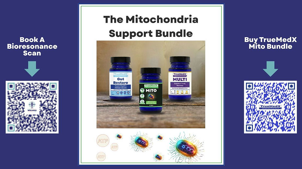 Mitochondrial Health