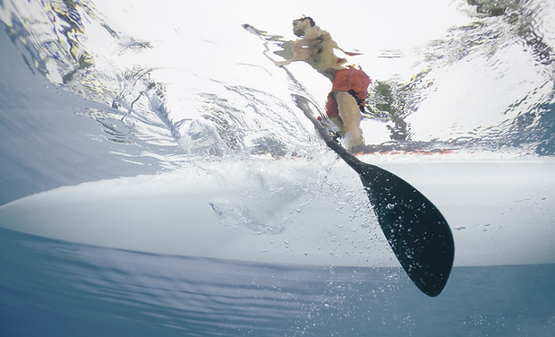 Guy on SUP