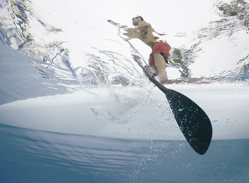 Guy on SUP