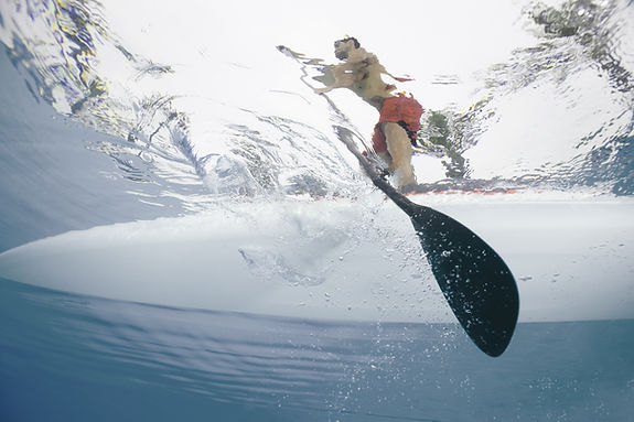 Guy on SUP
