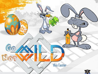 Go Mild, Not Wild – Responsible Drinking Campaign