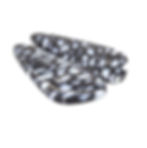 Thumbnail: Blue Fossil Palm Wood Pair