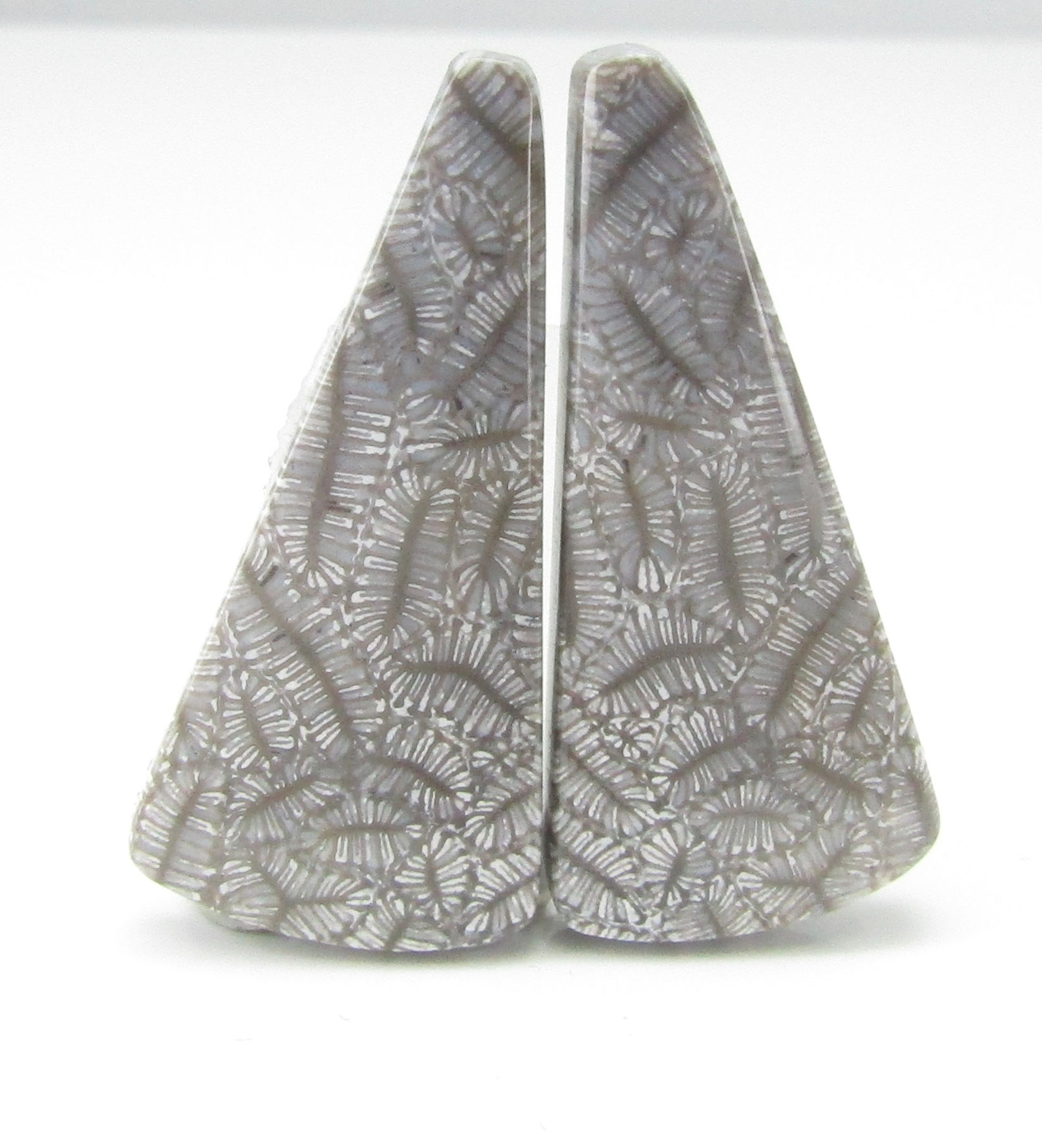 Indonesian Fossil Coral Pair