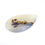 Thumbnail: Dendritic Agate