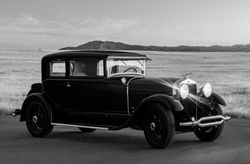 Site product sized-1