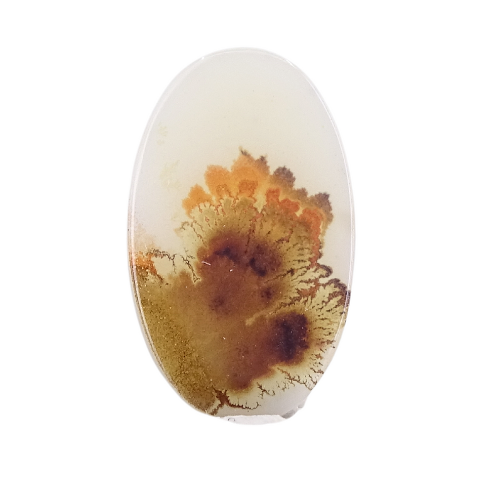 Dendritic Agate