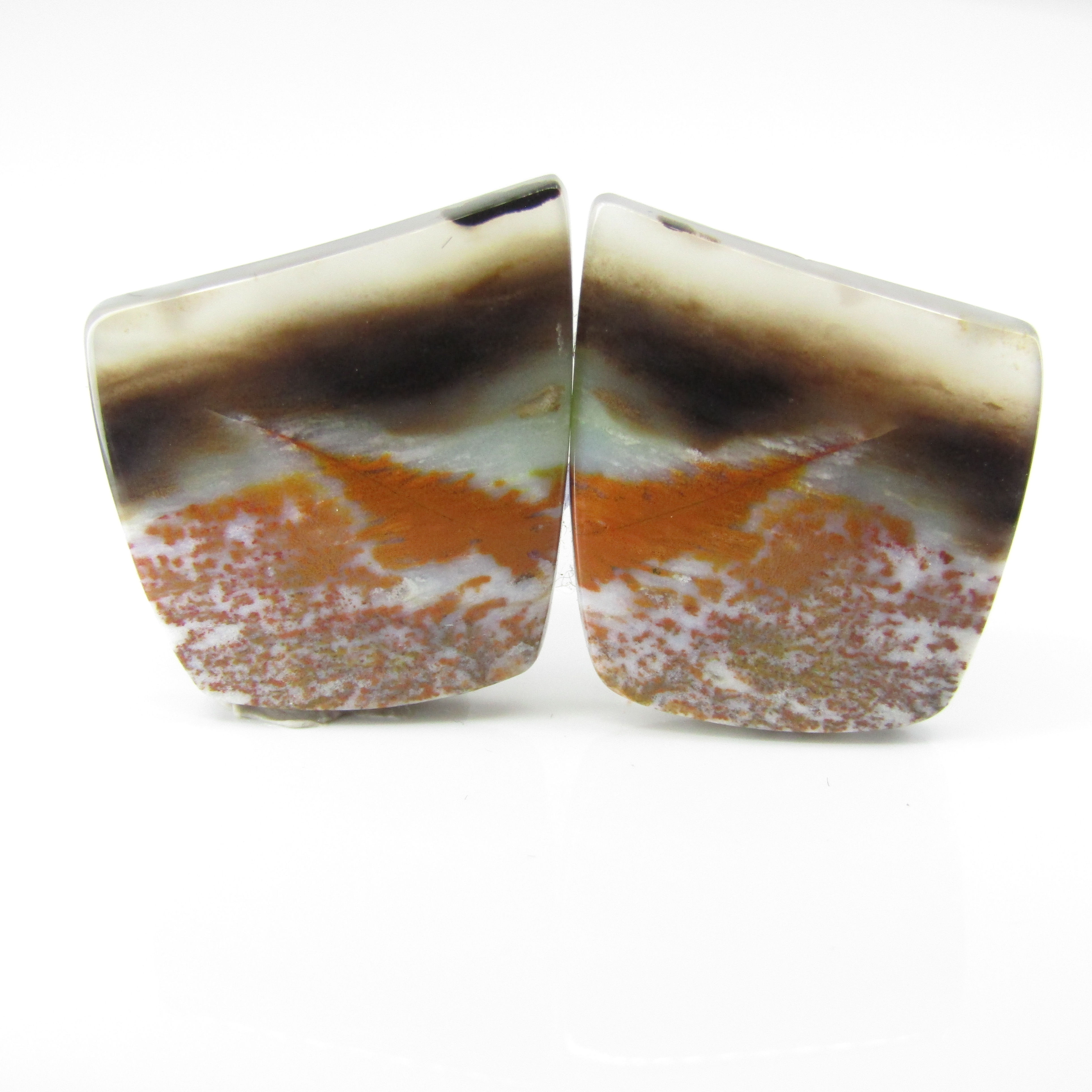 Indonesian Blue Opalwood