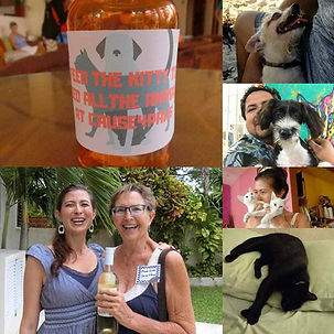 A collage of cute animals