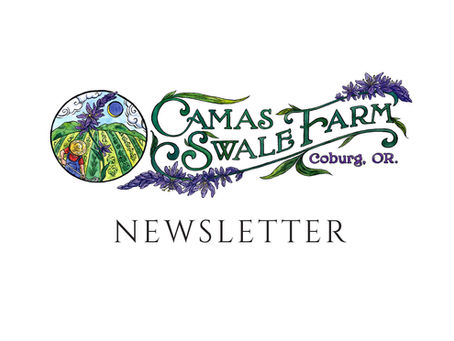 Newsletter: September 9, 2016