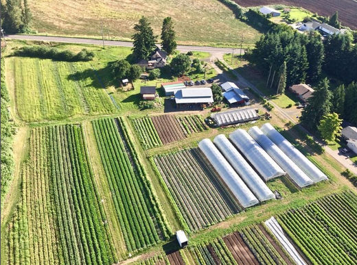 Aerial view of Camas Swale Farm