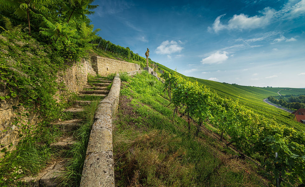 Reconnecting with Nature - Image 1