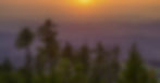 Sunrise in mountains with fir trees