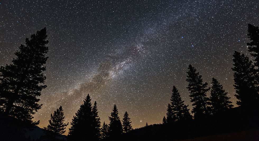 A starry night in an Oregon forest