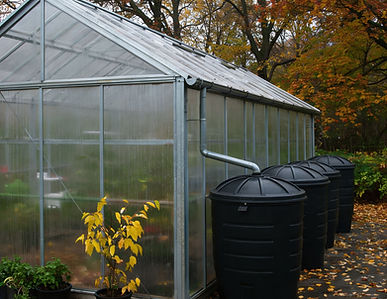 Houston greenhouse.jpg