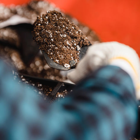 General Assembly 2018 – Growing Media Europe going forward