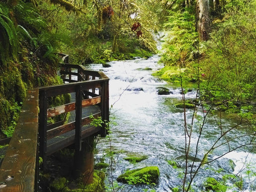 The Lost American Wilderness Part 4