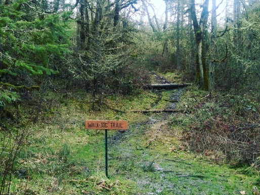 The Lost American Wilderness Part 2
