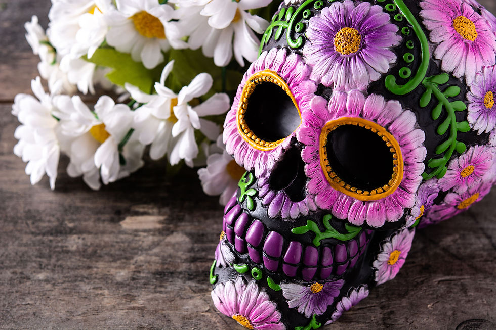 Dia de los Muertos Hike, Farm Tour, Culture and Lunch