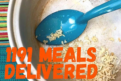 1191 meals delivered