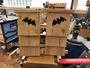 Bat Boxes.jpg