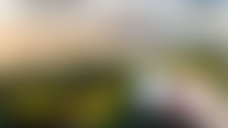 Prêmio de Jornalismo Cafés do Brasil tem inscrições prorrogadas