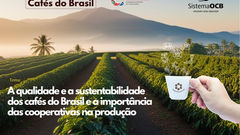 Prêmio de Jornalismo Cafés do Brasil em fase final de inscrições