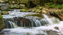 Da crise à falência hídrica: a cafeicultura regenerativa como parte da solução global da água