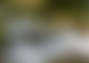 Da crise à falência hídrica: a cafeicultura regenerativa como parte da solução global da água