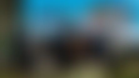 Plataforma Parque Cafeeiro: um legado de articulação institucional, ciência e cooperação