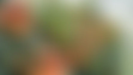 Setor cafeeiro tem de se unir para combater relatórios facciosos