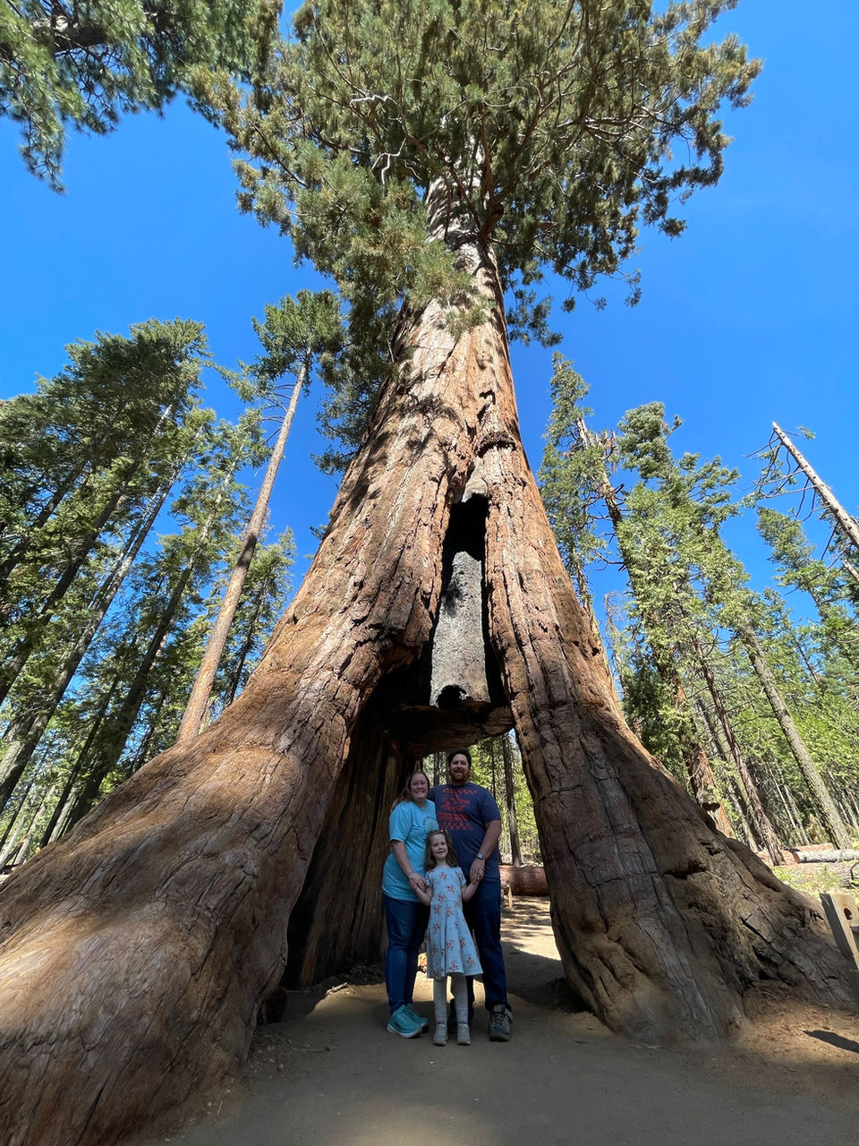Elizabeth Nathan Jodie - Tunnel Tree - Mariposa Grove - Yosemite - September 2021.JPEG