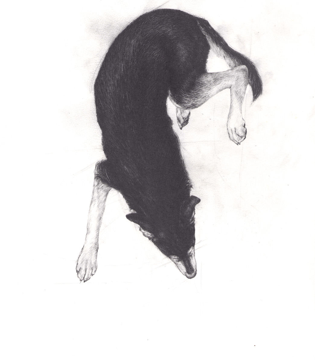 Down Dog print