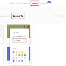 How to Delete a Segment on Flodesk 