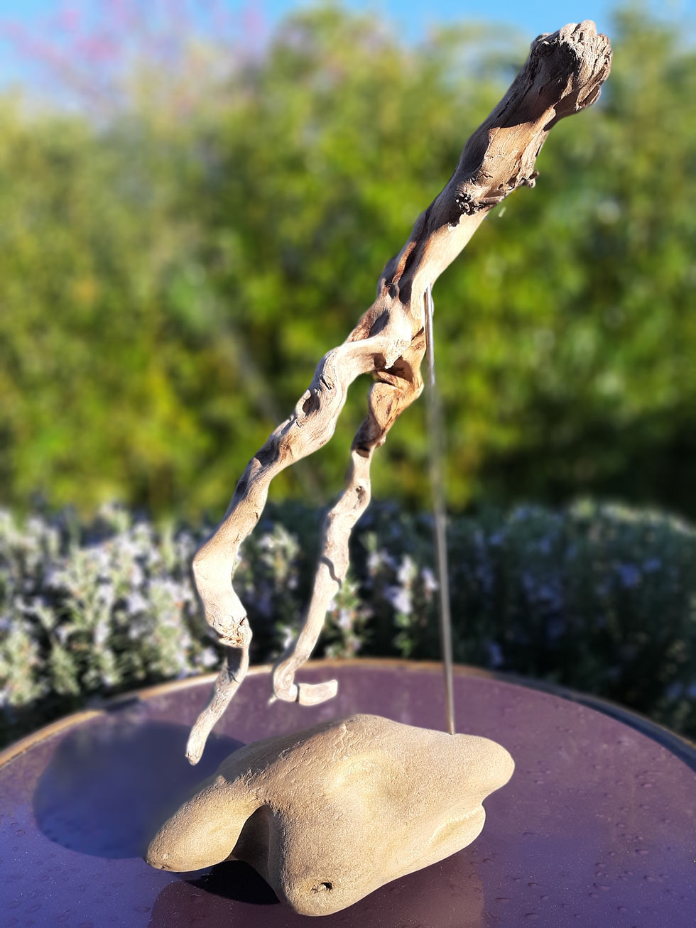 Miniature : Coa Coa