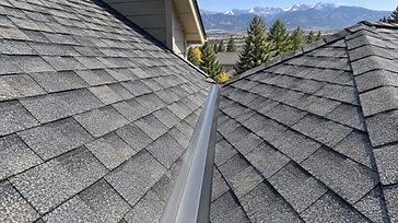 Roof Valley