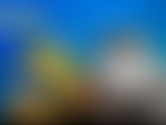 Karayip Resiflerinin Yarısı Nereye Gitti?