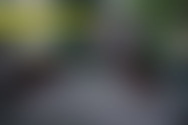 Sürdürülebilirlik Neden İşletmeler İçin Olmazsa Olmaz?