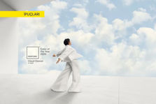 Pantone 2026 yılının rengini açıkladı