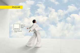 Pantone 2026 yılının rengini açıkladı