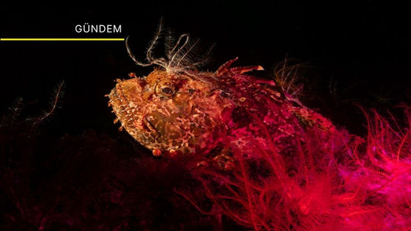 Sürdürülebilir Moda ve Sanatta Neler Oldu - 13-20 Nisan Gündemi